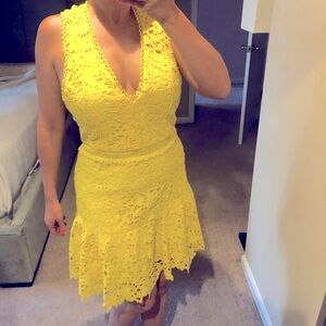 NWT Alice + Olivia lace halter dress